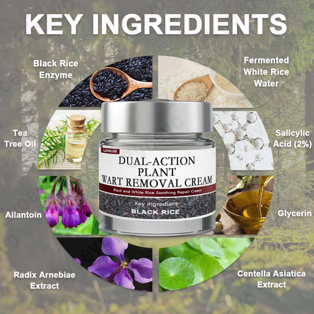 🔥First 100 :2nd ltem 60% Off🔥Black Rice Soothing Repair Cream